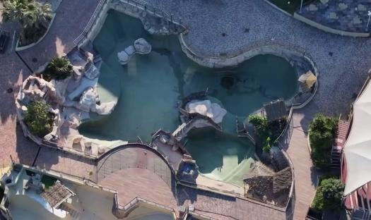 Abandoned theme park left ‘frozen in time’ where stranded Orca whales and bottlenose dolphins have been left to rot