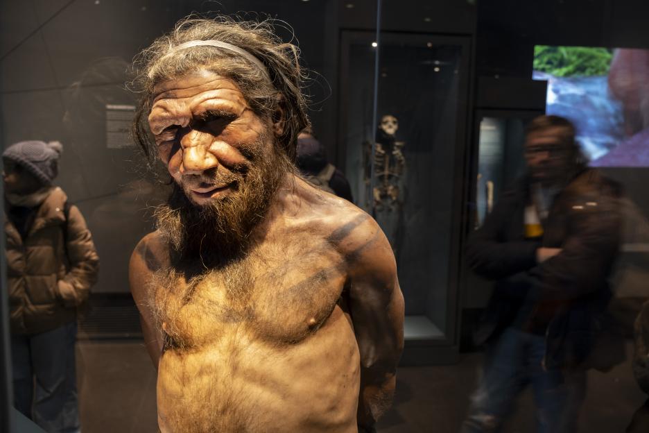 Horrifying ancient meal loved by Neanderthals is a dieter’s dream – but would YOU eat sickening dish?