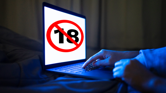 Porn site faces being BLOCKED as watchdog launches probe into illegal content complaints