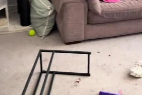 I’m trolled for my ‘dirty’ council house after 3 weeks of living there – people say there’s ‘no excuse’ for that mess