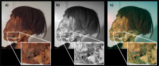 Close-up of a South American mummy's head and neck showing preserved tattoos in color, grayscale, and false color.