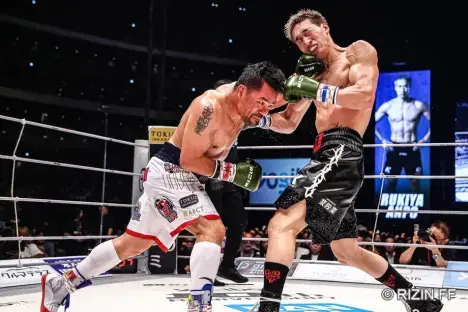 Two boxers exchanging blows in a boxing ring.