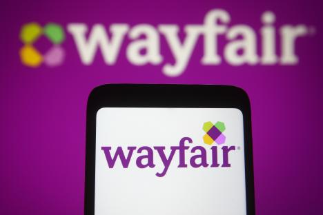 Wayfair is selling £8 privacy screen that’s perfect for keeping away prying eyes while ‘blending’ in your outdoor space 
