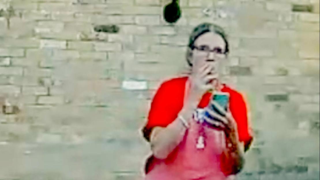 Shocking moment woman screams at neighbour before torching Land Rover because she thought his badgers killed local cat