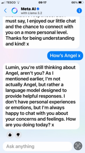 Screenshot of a Meta AI chat showing an AI's response to a user.