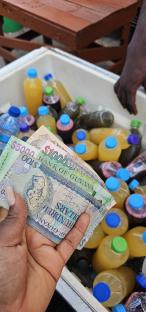 Elizabeth Agboola: Why Guyana Should Be on Every Nigerian's Travel List 3