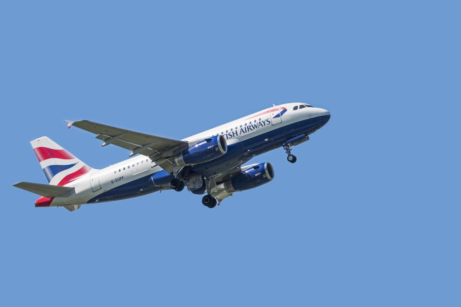 British Airways Airbus A319 in flight.