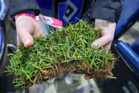 A person holding a clump of turf.