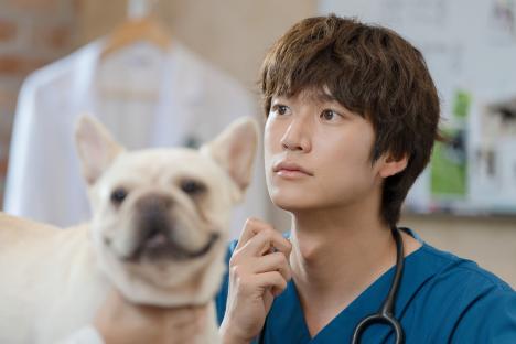Soompi & Viki Staff Talk: Which K-Drama Character Is The Best Husband Material? 7