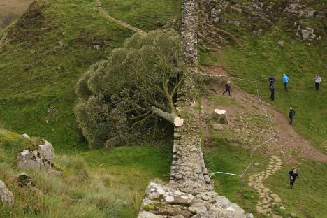 Idiot pals GUILTY of chopping down iconic Sycamore Gap tree in dead of night during ‘act of mindless thuggery’