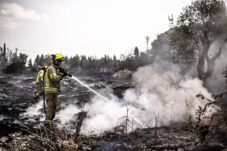 Firefighters extinguishing a wildfire.