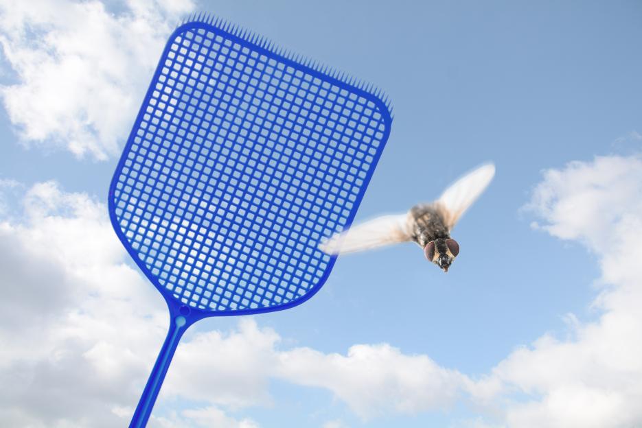 Common beauty mistake which makes you a magnet for bees, flies and mosquitoes