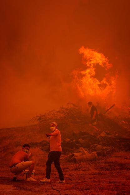 People fighting a large forest fire.