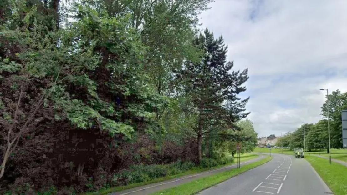 Teenage girl ‘sexually assaulted’ in woodland in early hours of the morning as cops launch desperate appeal