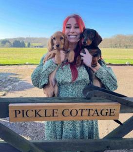 Stacey Solomon reveals she's got a new rescue dog two weeks after death of pooch Theo,
