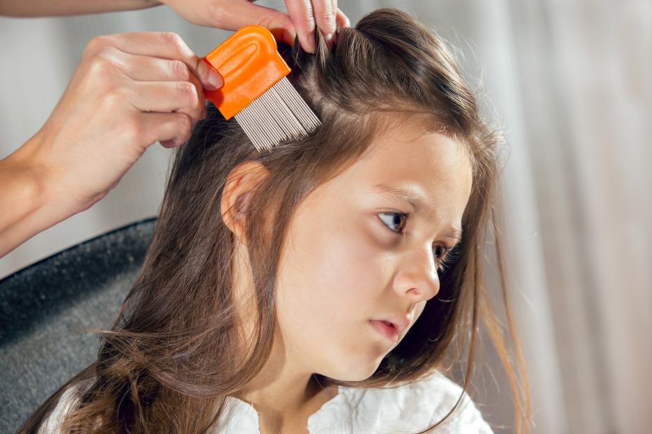 Bargain £2 product mums need to help prevent their kids from getting head lice, according to a GP