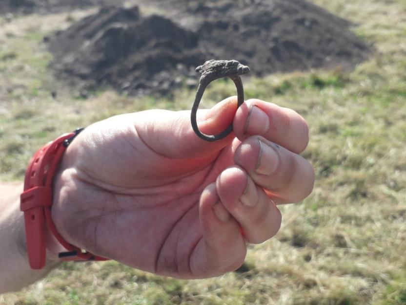A hand holding a Pictish ring unearthed at Burghead fort.