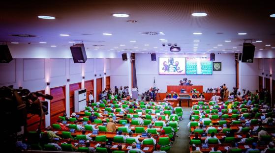 Reps direct enforcement of mandatory diphtheria immunisation, testing