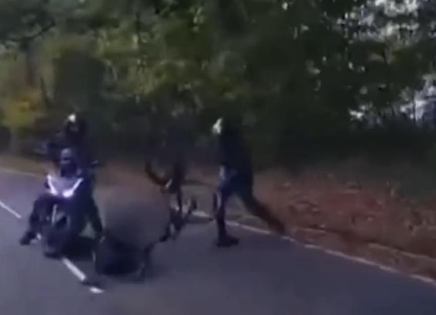 Axe-Wielding Bike Thieves Strike Cyclists in Shocking Daylight Attacks, Manhunt Underway