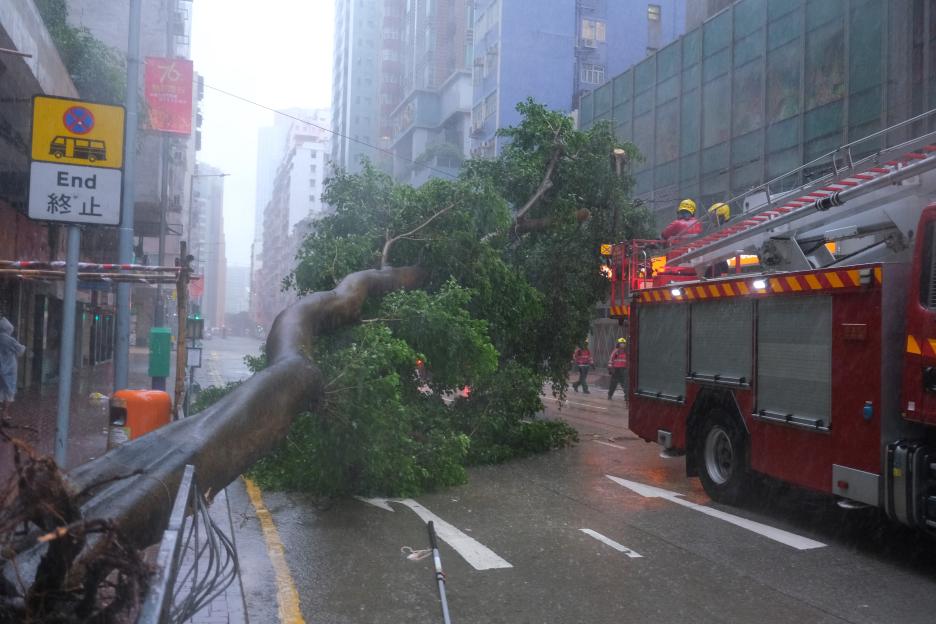 Firemen prepare to remove an uprooted tree on a city street as Super Typhoon Ragasa hits Hong Kong.