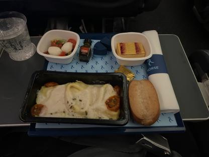 Airline meal service with pasta, salad, dessert, and bread roll.