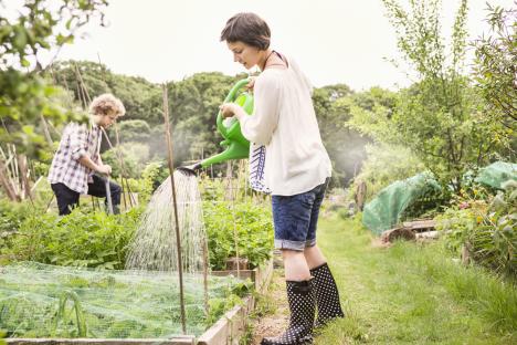 Lidl is selling a £9 garden gadget to help keep lawns green and healthy this summer – and it’s hassle free to use