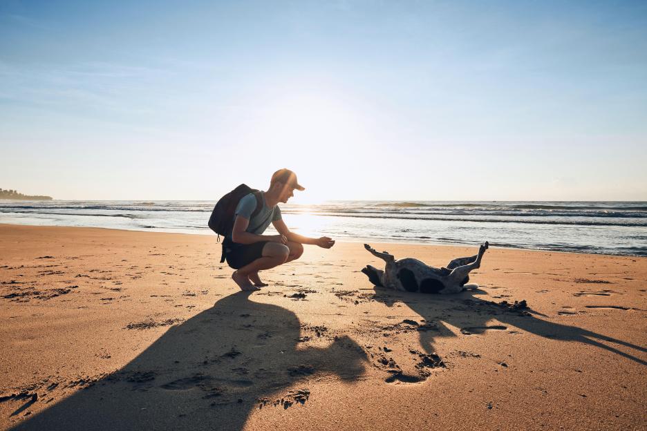 Man squatting on a sand beach with a dog lying on its back, both facing the ocean with the sun low in the sky behind them.