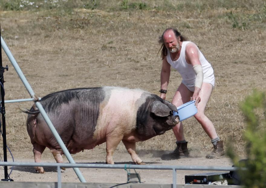 Bill Nighy and a pig on the set of California Avenue.