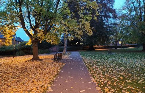 Teen girl ‘raped in park in early hours by man she met on night out’ as 19-year-old arrested