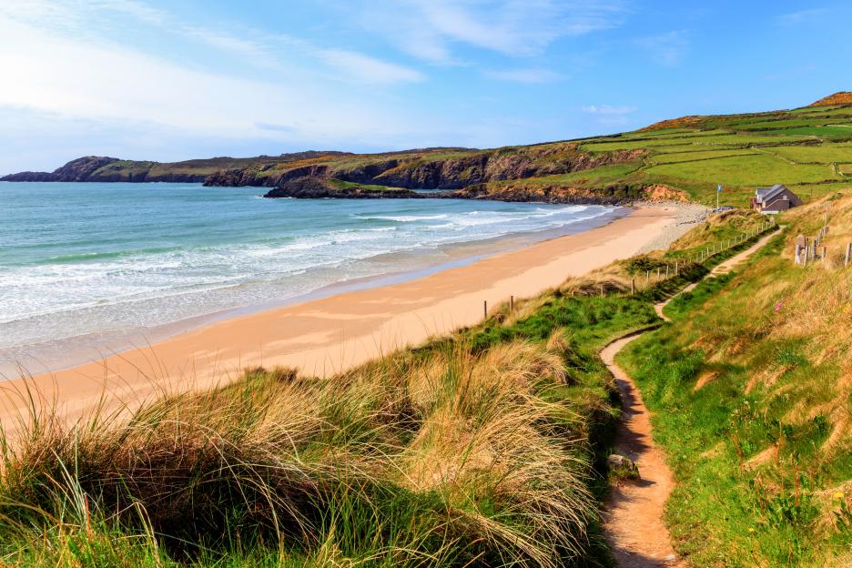 Path leading to Whitesands Bay beach in Pembrokeshire Coast National Park.