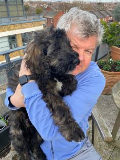 Man hugging his puppy.