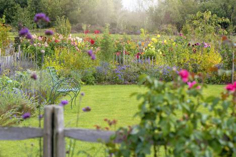 A green metal chair sits in a vibrant flower garden.