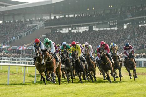 Templegate’s Irish Grand National tip, 1-2-3-4 prediction and complete runner-by-runner guide to Fairyhouse feature
