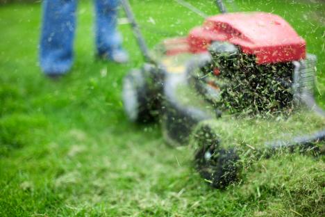 Warning that gardeners are risking huge £5,000 fines for mowing their lawns this weekend during certain hours