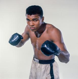 Portrait of Cassius Clay, a 20-year-old boxer, wearing boxing gloves.