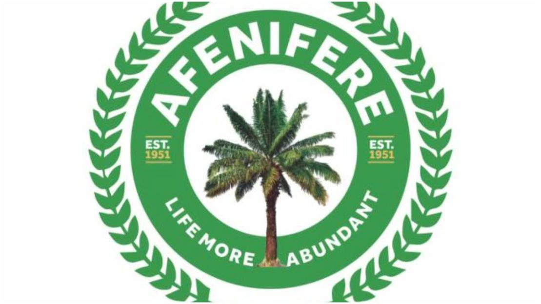Afenifere elated as United Nations declare July 7 ‘World Amotekun Day’