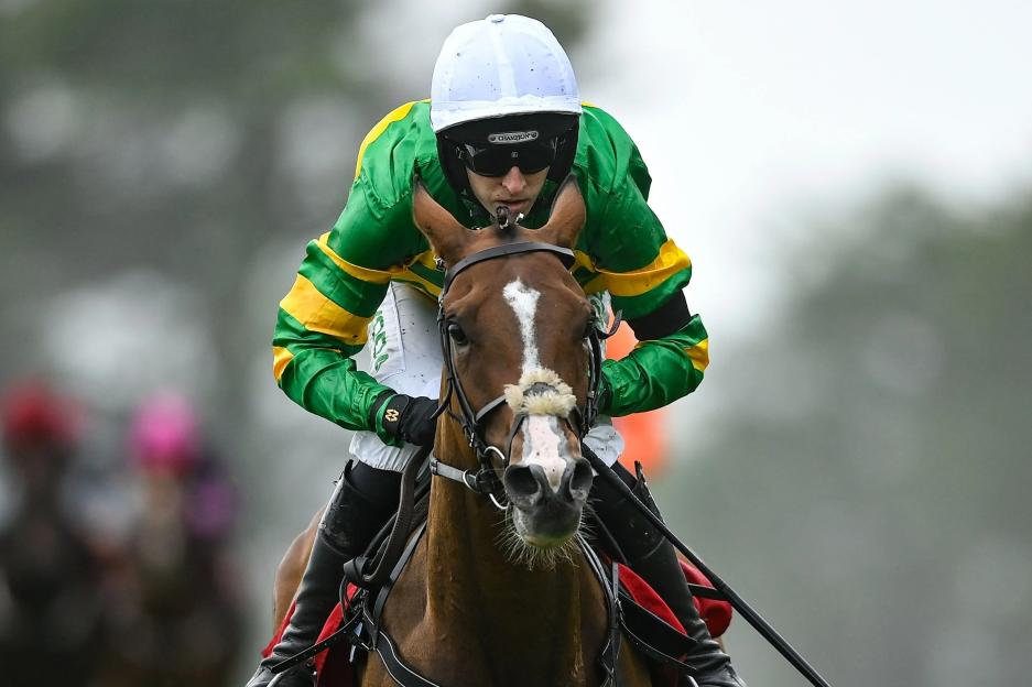 ‘He’s so slick’ – Willie Mullins’ potential next superstar slashed to joint-fav for Cheltenham after ‘impressive’ debut
