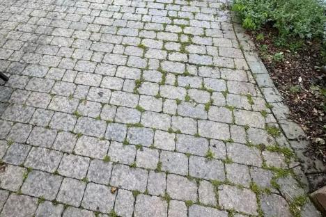 My parents’ patio was covered in moss – luckily there’s a pro-approved 35p hack that is quick & great for lifting stains