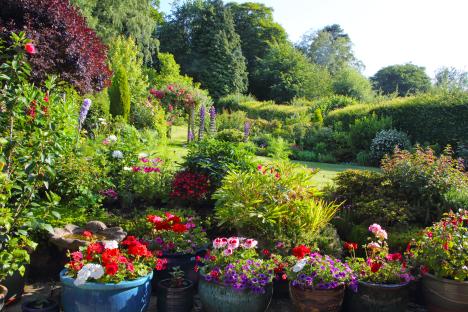 Why you should let grass go brown & 6 other ways to summer proof your garden without splashing out – including 60p hack