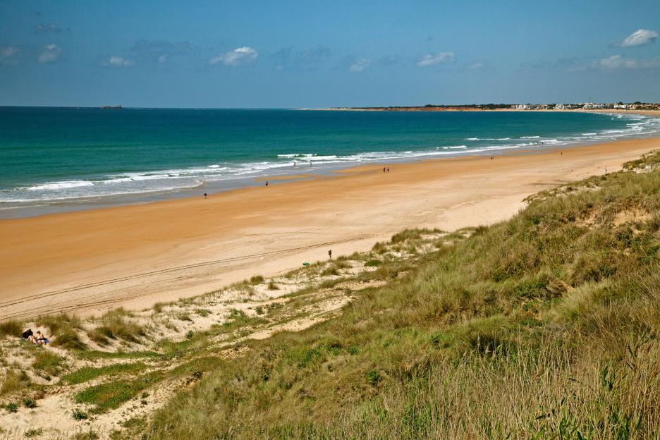 Beach scene with people on the sand and ocean in the background.