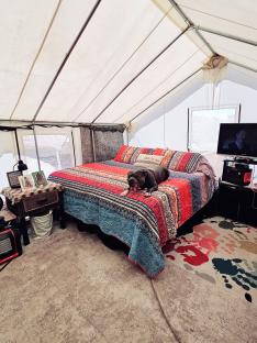 Interior of a canvas tent with a bed, dog, and television.