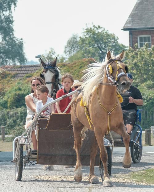Two horses pulling a cart with a woman and two children.