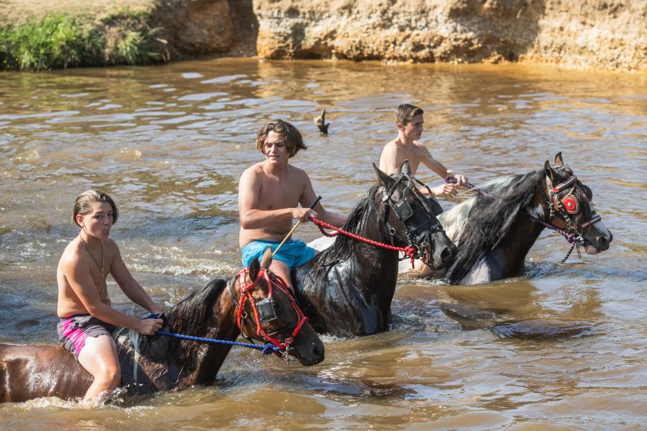Three teenagers riding horses in a river.