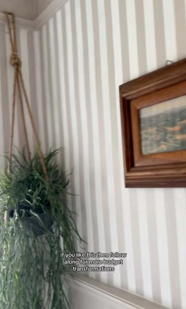 A hanging plant, a framed picture, and a white and grey striped wall.