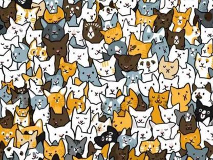 Illustration of a hidden rabbit among many cats.
