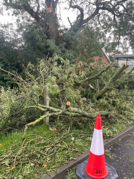 Workmen clear fallen trees from the A832 at Urray after a storm.