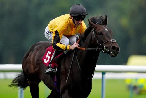 Jockey Daniel Tudhope riding Luther in a horse race.