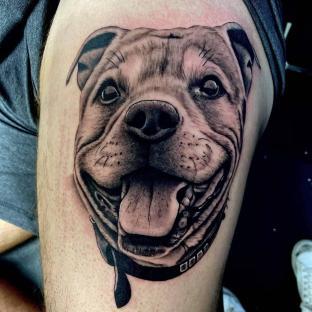 Tattoo of a smiling Staffordshire Bull Terrier.
