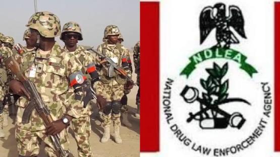 Otti’s wife praises NDLEA for fighting drug abuse, trafficking in Abia