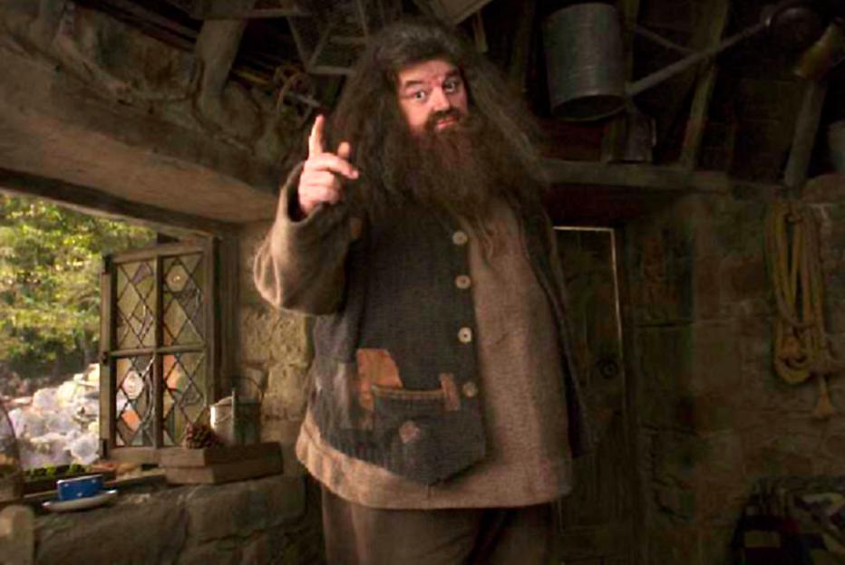 Rubeus Hagrid from Harry Potter and the Prisoner of Azkaban.